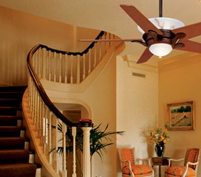 Ceiling Fans