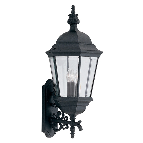 Designers Fountain Lighting Outdoor Wall Light with Clear Glass in Black Finish 2952-BK