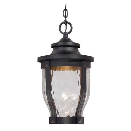Minka Lavery LED Outdoor Hanging Light with Clear Glass in Black by Minka Lavery 8764-66-L