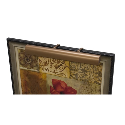 House of Troy Lighting Classic Traditional Bronze Picture Light by House of Troy Lighting T21-5-CA