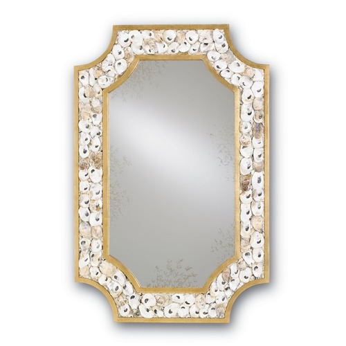 Currey and Company Lighting Margate 45x30 Mirror in Contemporary Gold by Currey & Company 1090