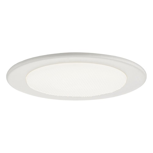 Recesso Lighting by Dolan Designs Albalite Shower PAR20 Trim Light for 4-Inch Recessed Cans T408-WH