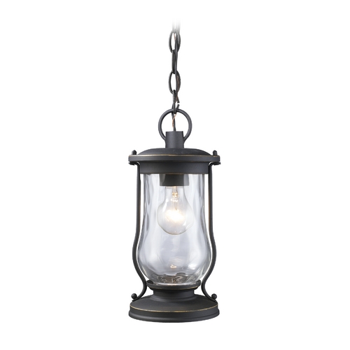 Elk Lighting Outdoor Hanging Light with Clear Glass in Matte Black Finish 43017/1