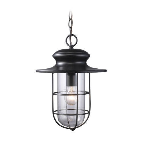 Elk Lighting Outdoor Hanging Light with Clear Glass in Matte Black Finish 42286/1