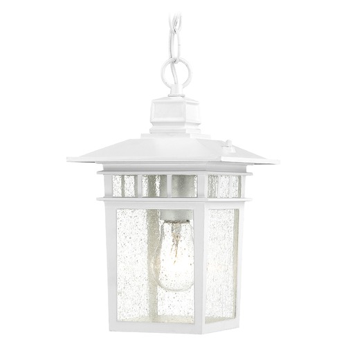 Nuvo Lighting Seeded Glass Outdoor Hanging Light White by Nuvo Lighting 60/4954