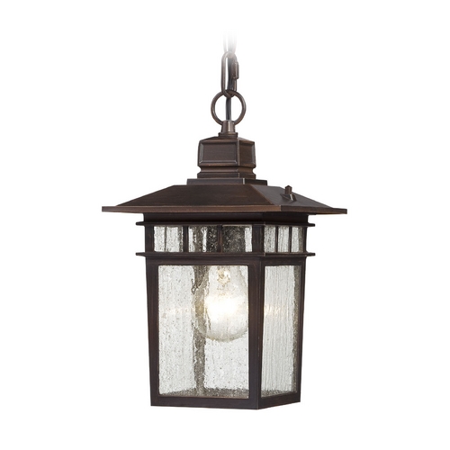 Nuvo Lighting Seeded Glass Outdoor Hanging Light Bronze by Nuvo Lighting 60/4955