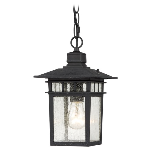 Nuvo Lighting Seeded Glass Outdoor Hanging Light Black by Nuvo Lighting 60/4956