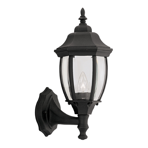 Designers Fountain Lighting Outdoor Wall Light with Clear Glass in Black Finish 2420-BK