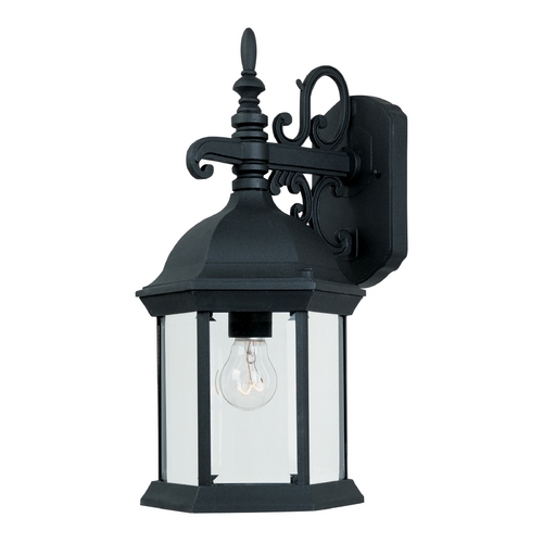Designers Fountain Lighting Outdoor Wall Light with Clear Glass in Black Finish 2971-BK