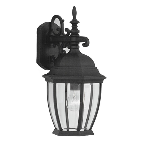 Designers Fountain Lighting Outdoor Wall Light with Clear Glass in Black Finish 2431-BK