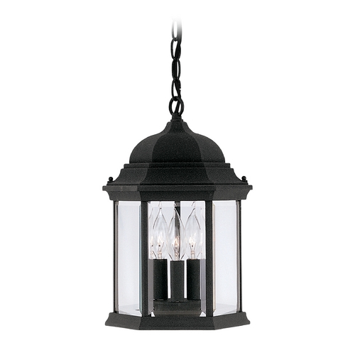 Designers Fountain Lighting Outdoor Hanging Light with Clear Glass in Black Finish 2984-BK