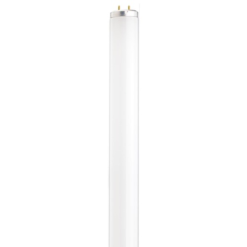Satco Lighting Fluorescent T12 Light Bulb Bi-Pin Base 4200K by Satco Lighting S6580