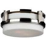 Two-Light Ceiling Light Fixture 