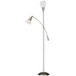 Combination Floor Lamp