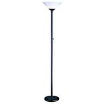73-Inch Floor Lamp
