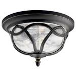 Flushmount Outdoor Ceiling Light