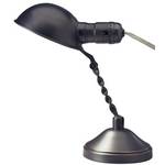 Portable Desk Lamp