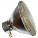 75-watt PAR38 incandescent bulb
