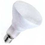 65-watt BR30 incandescent bulb