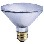 75-watt PAR30 flood halogen bulb