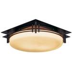 Two-Light Ceiling Fixture