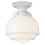 Martha Stewart Semi-Flush Ceiling Light