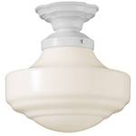 Martha Stewart Semi-Flush Ceiling Light