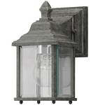 9-Inch Outdoor Wall Light 