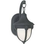 12-Inch Outdoor Wall Light