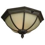 Outdoor Ceiling Fixture