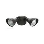 LED Outdoor Flood Light