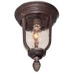 Flushmount Outdoor Ceiling Fixture