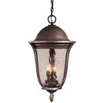 Hanging Outdoor Ceiling Light