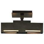 Two-Light Semi-Flush Ceiling Fixture