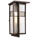 19-5/8-Inch Fluorescent Outdoor Wall Light