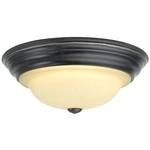 14-1/2-inch Energy Star Qualified Ceiling Fixture 