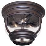 Flushmount Outdoor Ceiling Light Fixture
