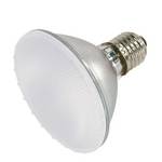 75-watt PAR30 flood halogen bulb with frosted lens