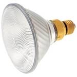 75-watt PAR38 flood halogen bulb 