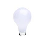 75-watt A19 soft white incandescent bulb