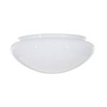White Mushroom Replacement Glass 