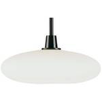 Frosted Glass Pendant