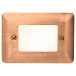 Low Voltage Step Light