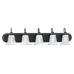 Five-Light Bathroom Fixture