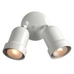 Two-Light Spotlight