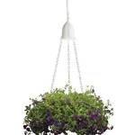 Low Voltage Hanging Plant Accent Light