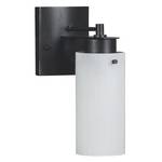 Energy Star Qualified Single-Light Sconce 