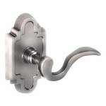 Right-Hand Drop Tail Door Lever Privacy Set