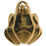Frog Doorbell Button