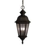 Hanging Outdoor Ceiling Light